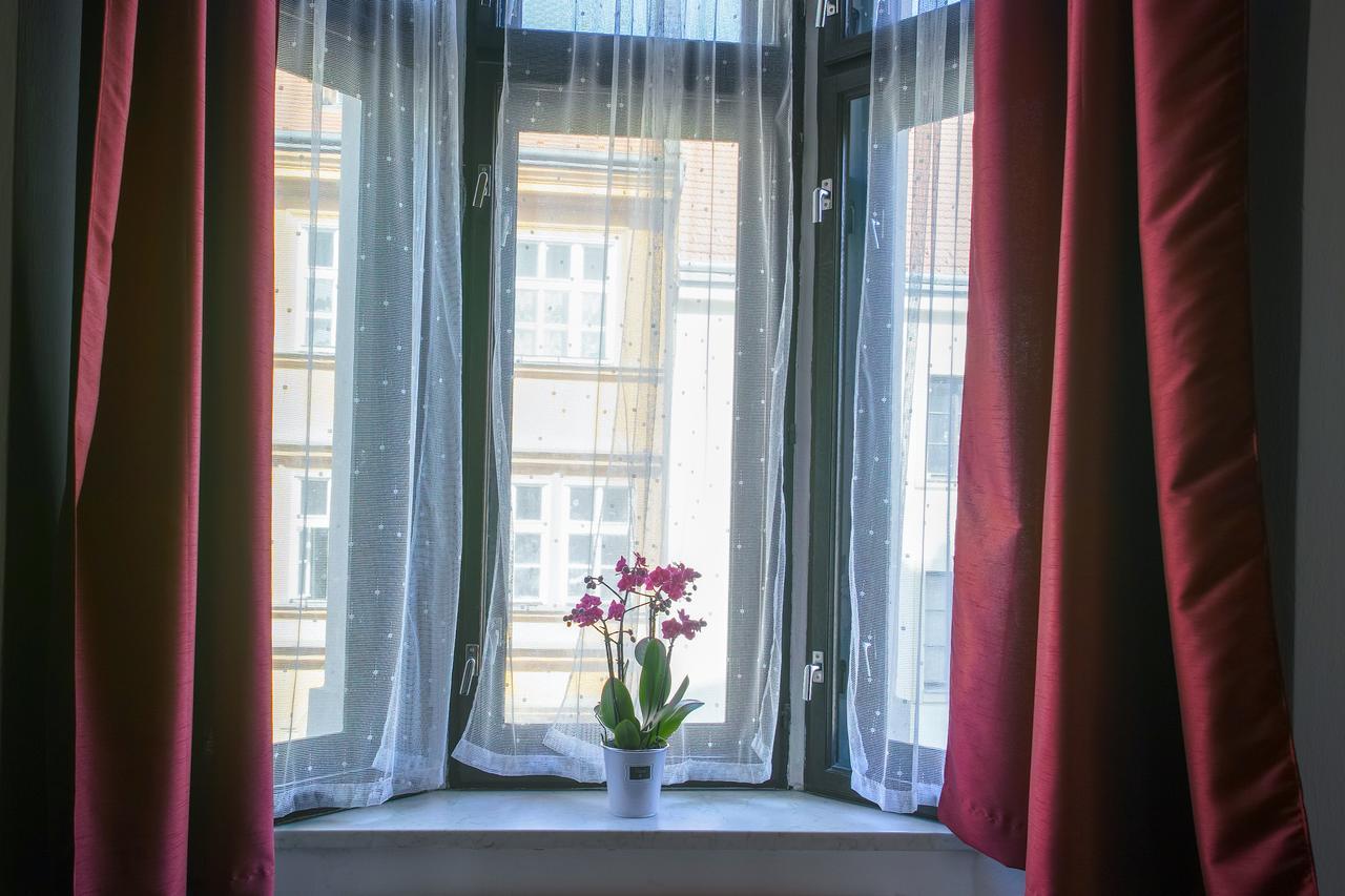 Hotel U Salzmannu 플젠 외부 사진